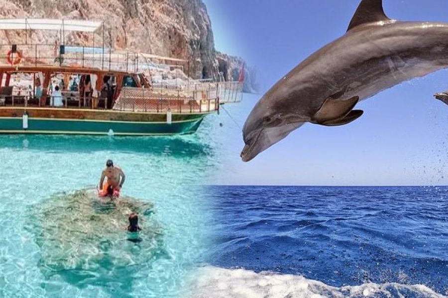 Delphin Island Boat Tour