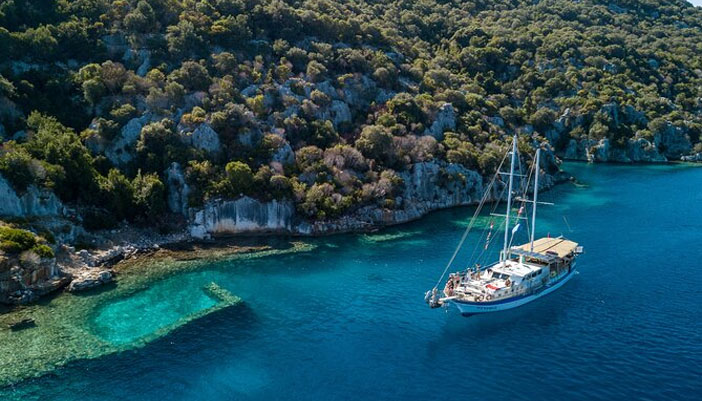 Delphin Island Boat Tour
