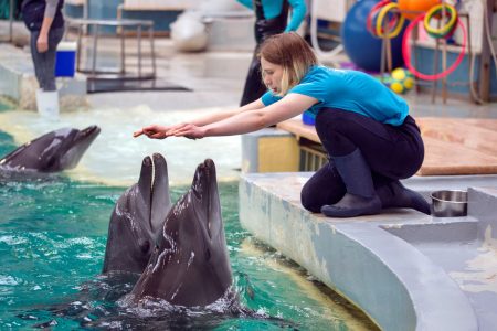 Delphin (Dolphin) Show Tou